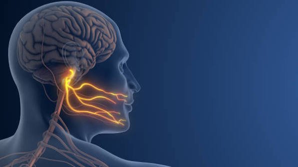Facial Nerve Surgical Fellowship Training